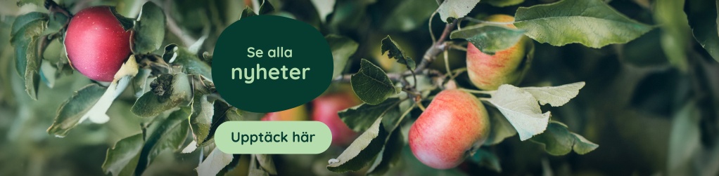 Nyheter